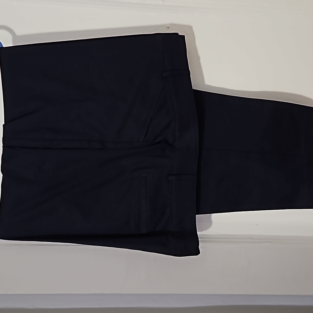 Avenue Women's Navy Blue Pants 24A